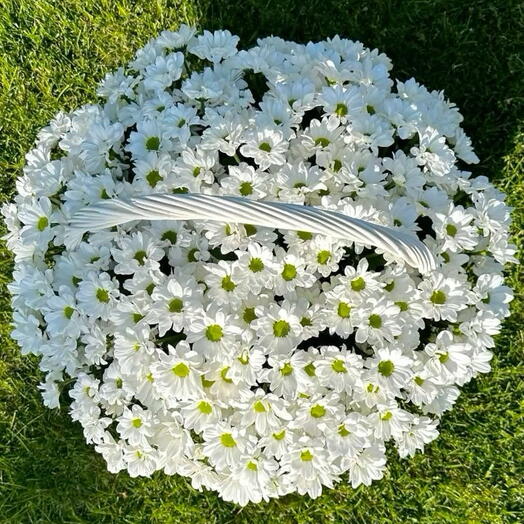 Корзина ромашек