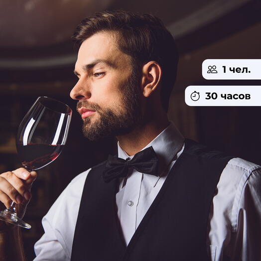 Начинающий сомелье. Курс обучения в винной школе
