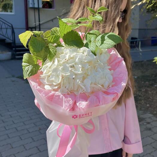 Малинки