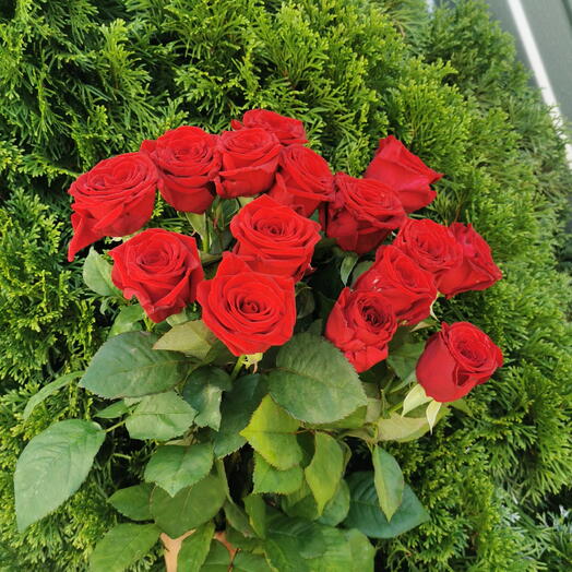 Ред Наоми 15 роз 🌹