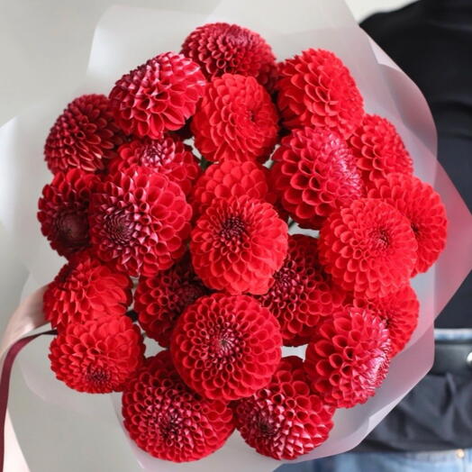 Букет из 19 красных георгин