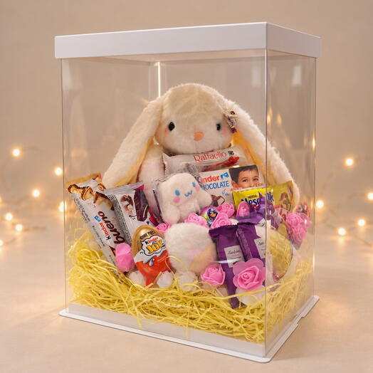Premium Box