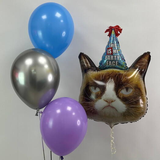 Воздушные шарики шары «Party Face» с недовольным котом — оригинальный подарок с юмором на День рождения