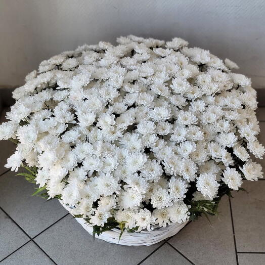 Корзина из 51 хризантемы Алтай
