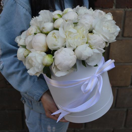 Beauty peony