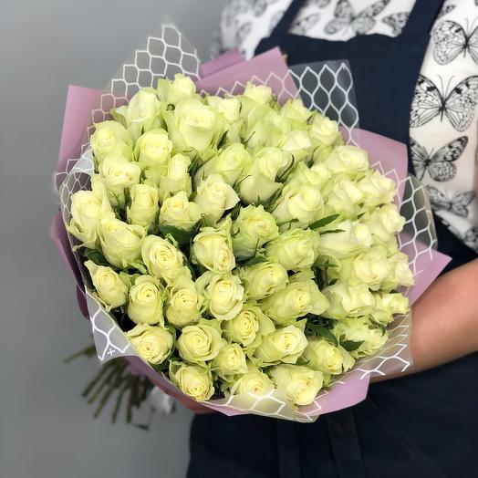51 rosa blanca Premium