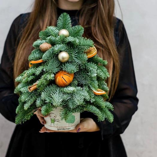 Новогодняя ёлочка