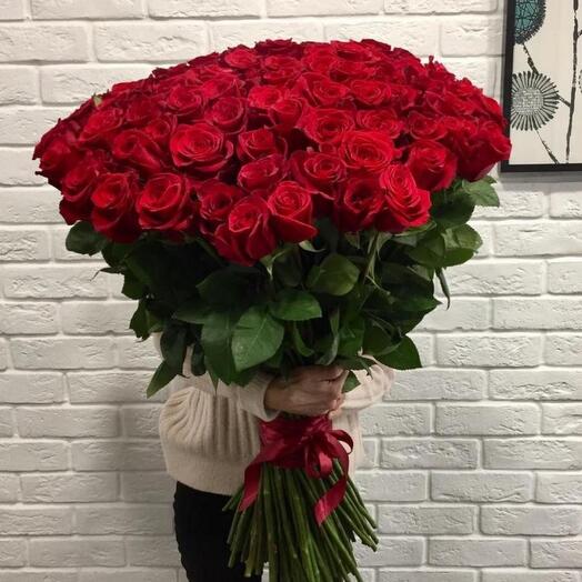 101 роза Эквадор 80  см