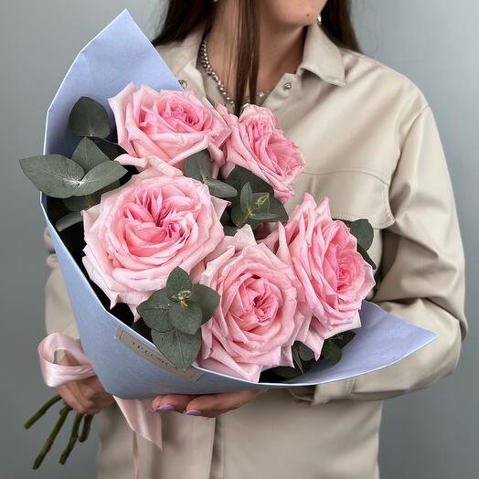 Ohara Pink