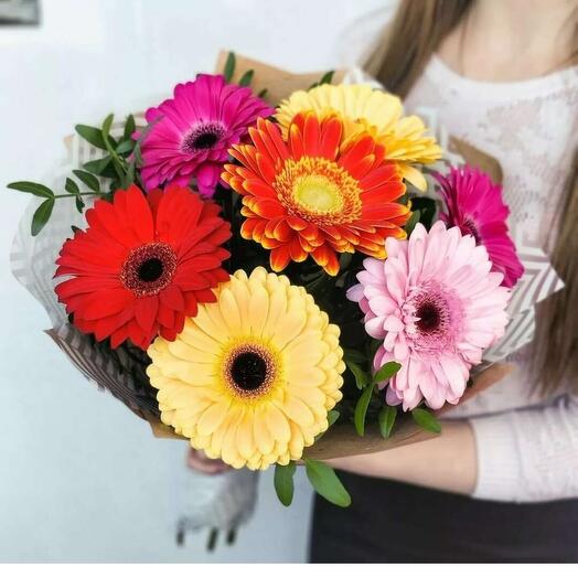 Bright gerberas