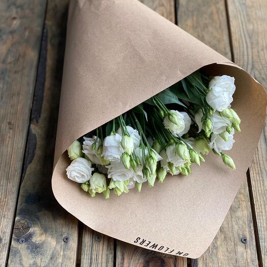 Eustoma