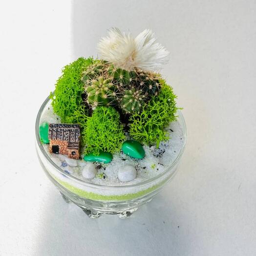 Flower garden with cactus and a house