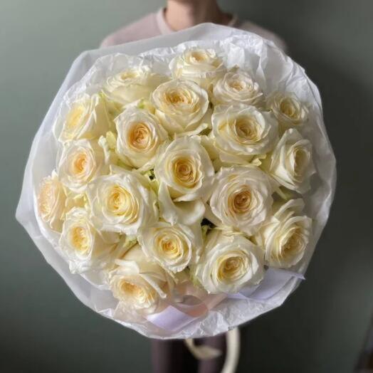 Cream rose Monobucket (19 pcs)