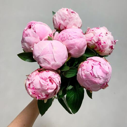 Hanami: un ramo de peonías rosas fragantes