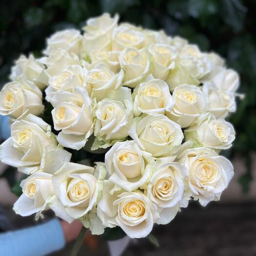 Rosas blancas fragantes