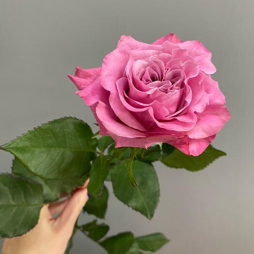 Openwork rose - 70 cm