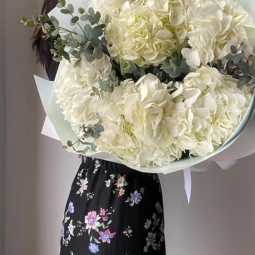 White hydrangeas 5 pcs and eucalyptus