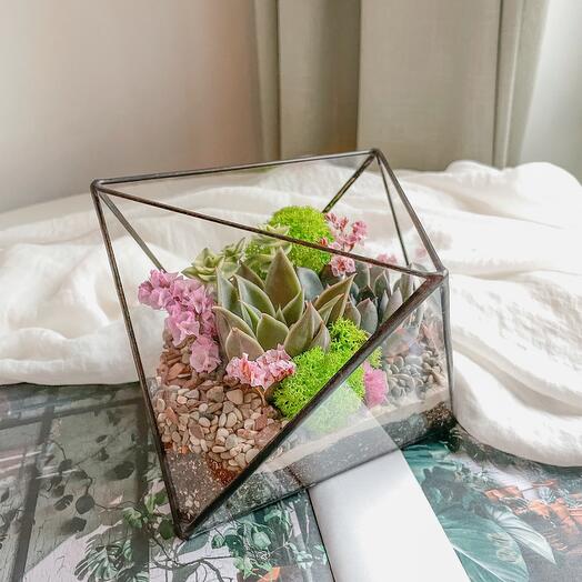 Octahedron with succulents