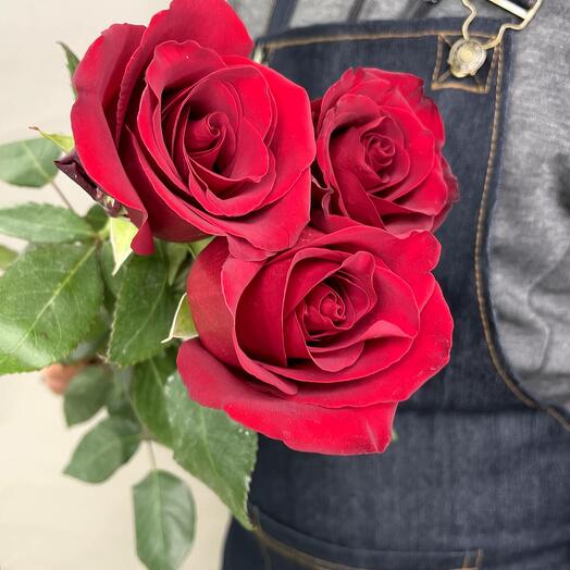 Ramo de rosas rojas MZ