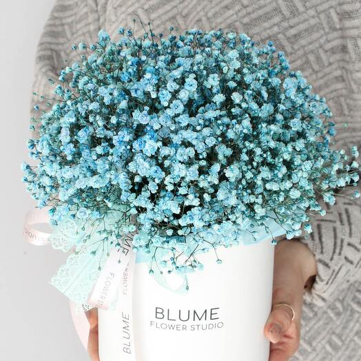 Lush box with gypsophila Blue Cloud