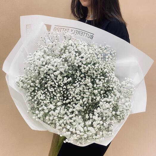 Ramo de 15 gypsophila