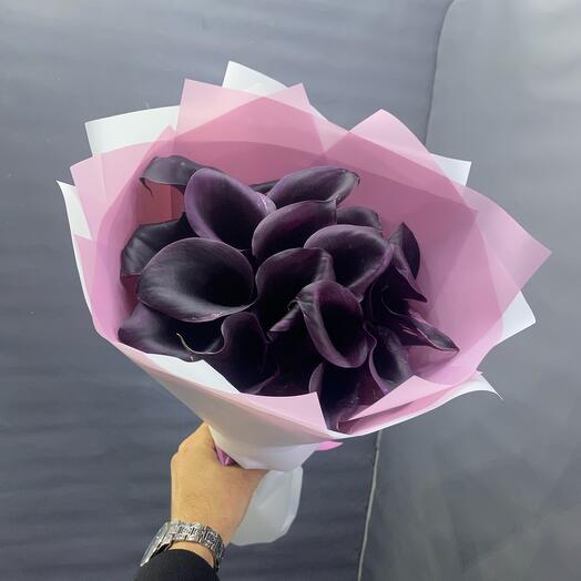 Black Calla