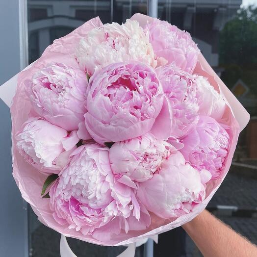 Gorgeous peonies