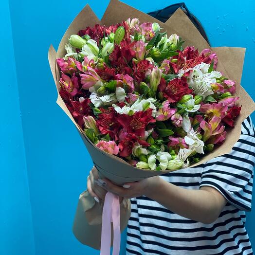 Alstroemeria