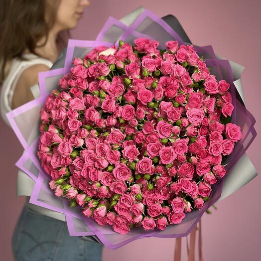 Raspberry bush roses monobucket size XL