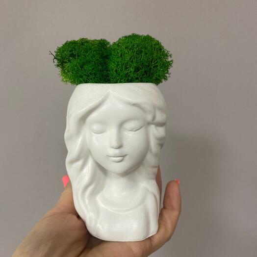 Plantador"Chica"