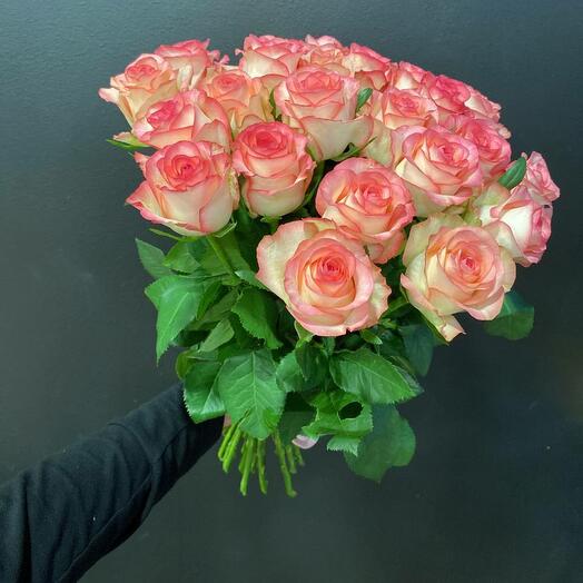 21 pink roses