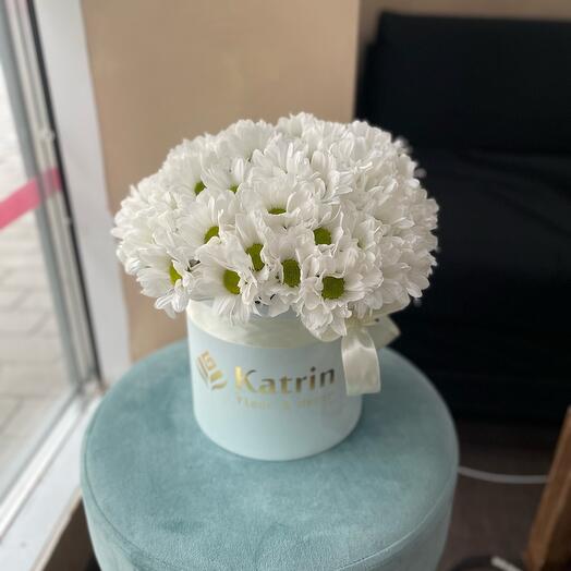 Хризантема - ромашка в коробке 🥰