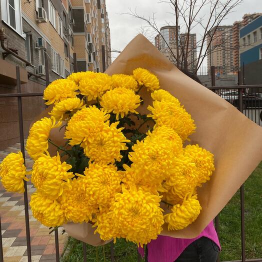 Хризантема желтая 💛