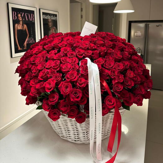 Basket with 301 red roses