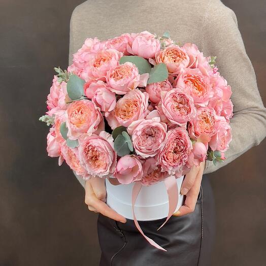 Caja de Julieta de rosas de peonía arbustiva