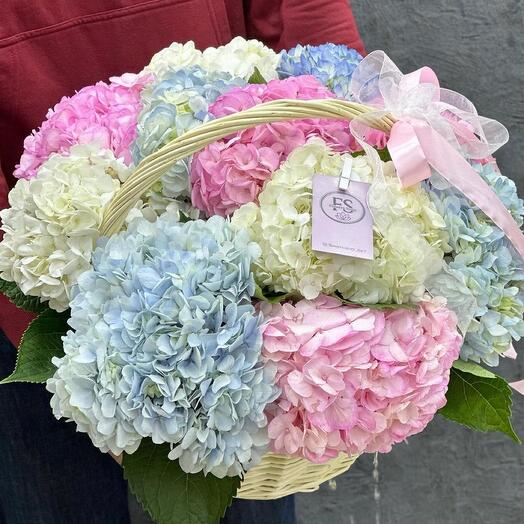 Cesta de flores de Hortensia