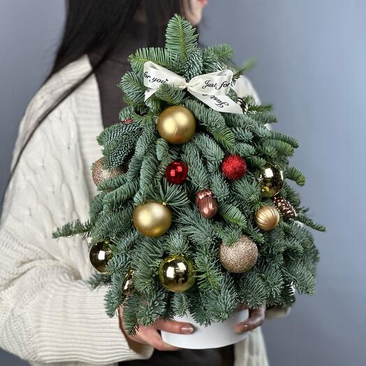 Новогодняя елка из датской ели