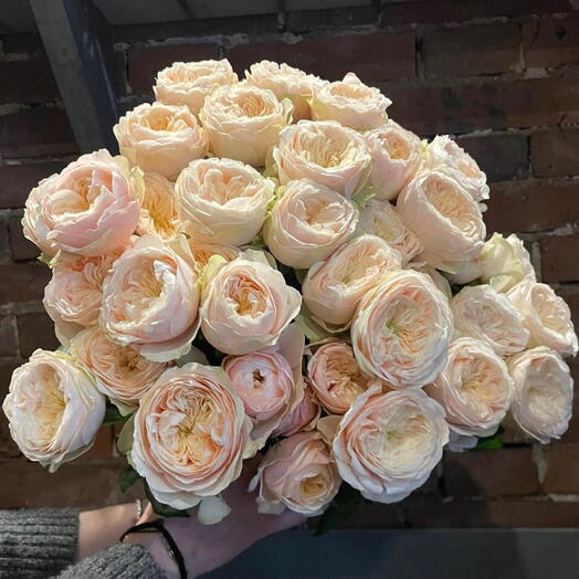 Rose Julietta  23 stems