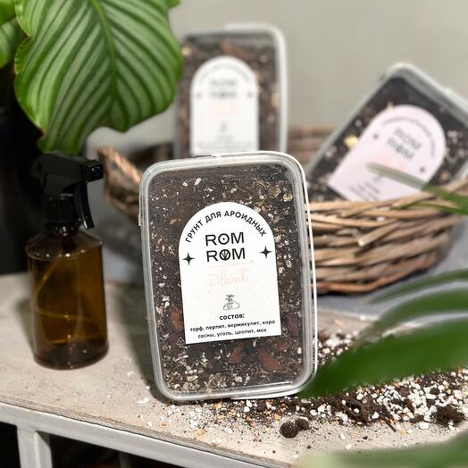 Грунт для ароидных растений, Живые растения в Санкт-Петербурге, купить ...