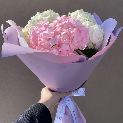 Hydrangea mix