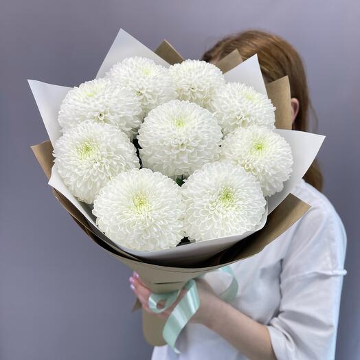 Bouquet of snow-white Chrysanthemums 9 pcs