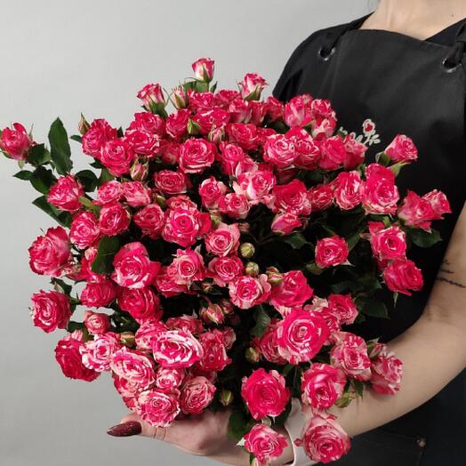 15 кустовых роз Фаерфокс 60 см