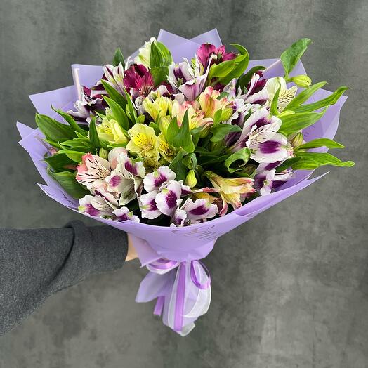Alstroemeria 💌