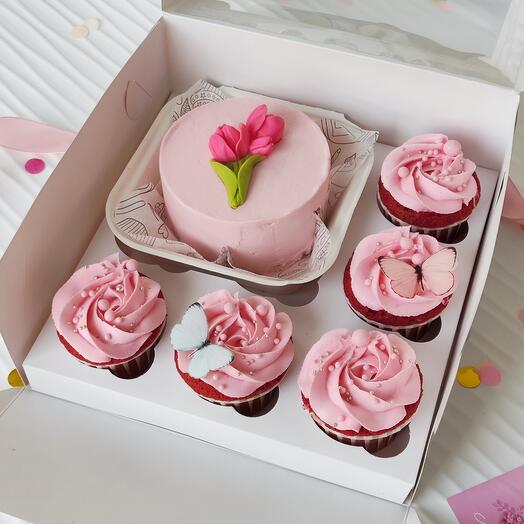 Cupcake set+bento cake