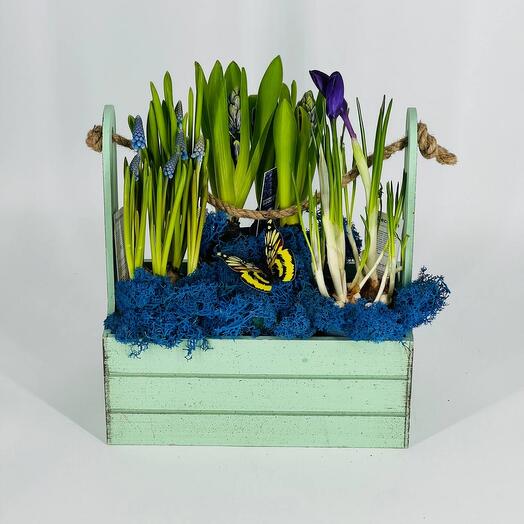 Пасха Кашпо с цветами первоцветами мускари гиацинты крокусы