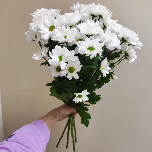 Букет ромашек (хризантем)