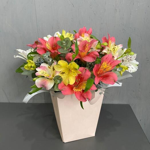 Alstroemeria en Caja