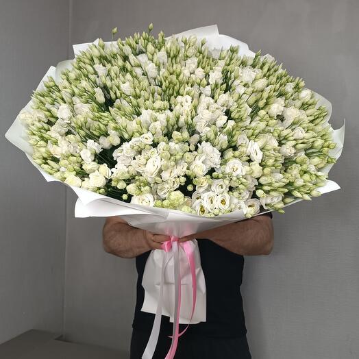101 lisianthus