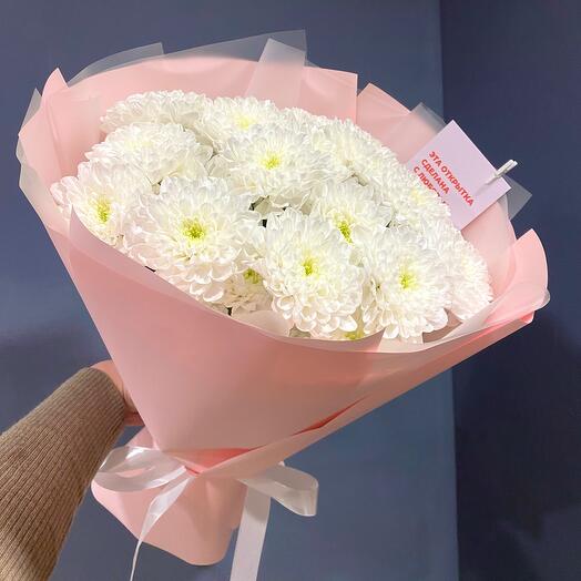 5 кущових хризантем Алтай