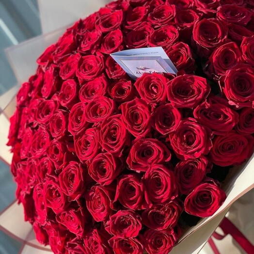 151 rose red (60cm)
